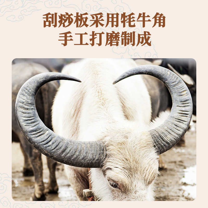 5的副本.jpg